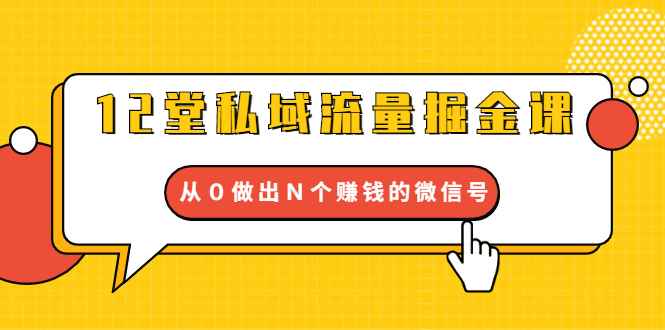 （1659期）12堂私域流量掘金课：打通私域４大关卡，从０做出Ｎ个赚钱的微信号-咩咩网络