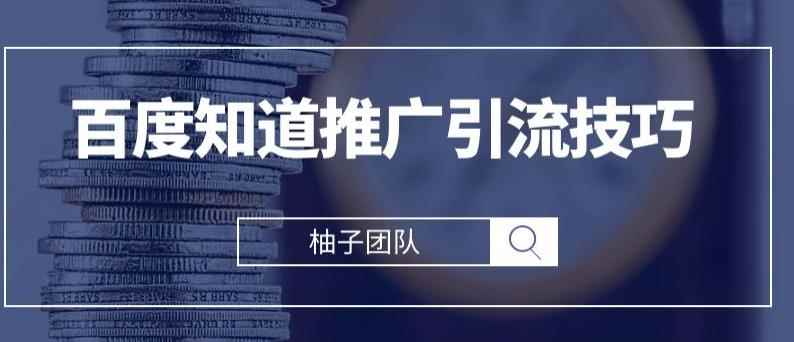 2021最新百度知道推广引流技巧，分分钟就能学会【视频课程】-咩咩网络