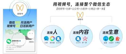 图片[3]-（1656期）从0到1带你玩赚视频号：这么玩才赚钱，日引流500+日收入1000+核心玩法-咩咩网络