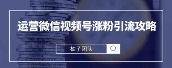 手把手教你运营微信视频号涨粉引流攻略，轻松涨粉10W+【视频课程】-咩咩网络