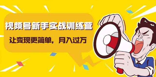 龟课视频号新手实战训练营，让变现更简单，玩赚视频号，轻松月入过万-咩咩网络