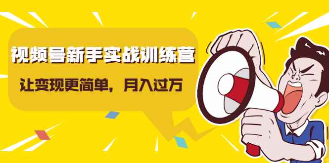 （1627期）视频号新手实战训练营，让变现更简单，玩赚视频号，轻松月入过万-咩咩网络