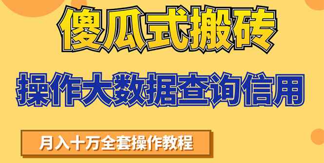 （1538期）傻瓜式搬砖操作大数据查询信用赚钱方法：助你快速月入6万全套操作教程-咩咩网络