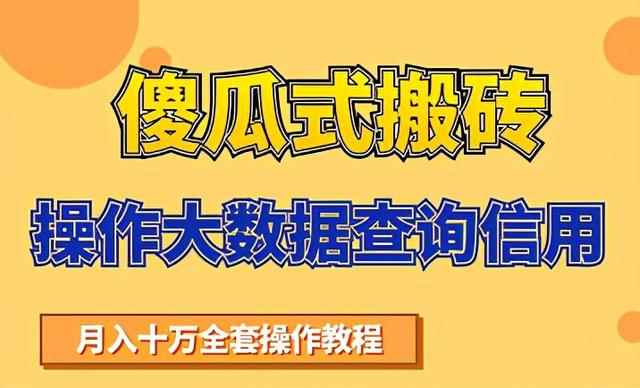 搬砖操作大数据查询信用项目赚钱教程，祝你快速月入6万-咩咩网络