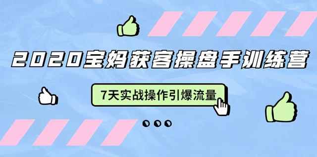 2020宝妈获客操盘手训练营：7天实战操作引流宝妈粉，引爆宝妈流量-咩咩网络