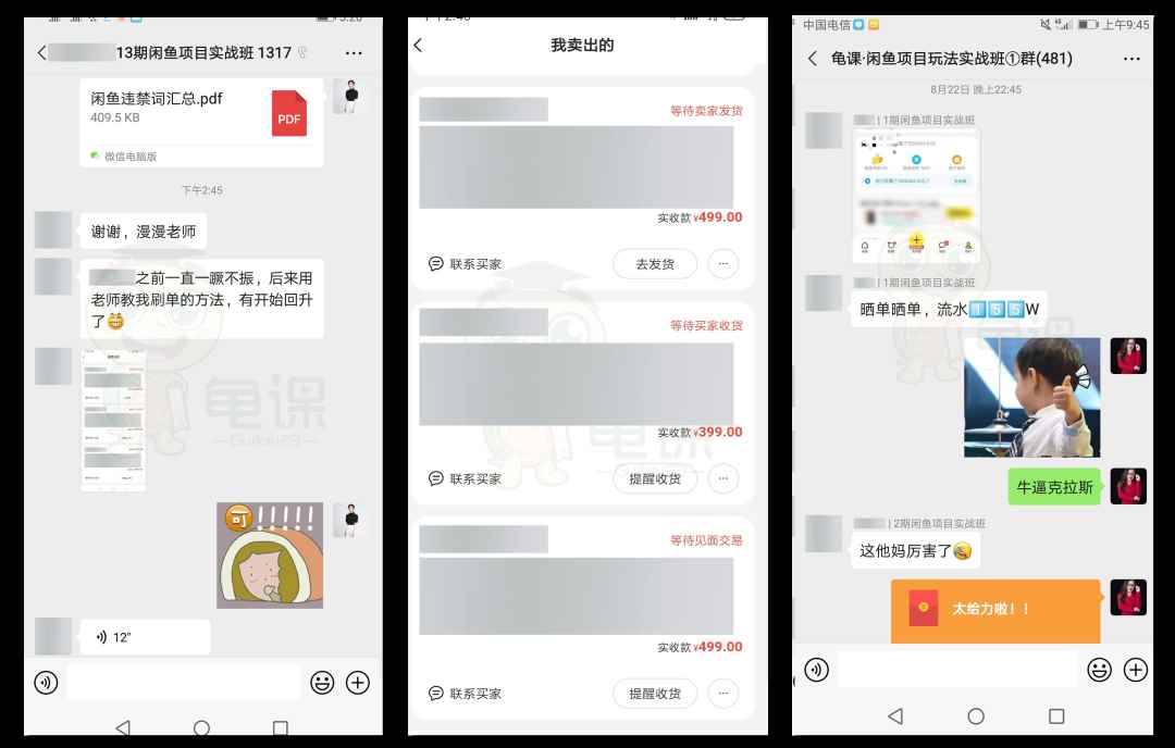 图片[3]-（1522期）龟课·闲鱼无货源电商课程第15期，一个月收益几万不等【33节视频-无水印】-咩咩网络
