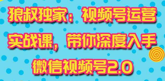 （1521期）视频号运营实战课2.0，目前市面上最新最全玩法，快速吸粉吸金（10节视频）-咩咩网络