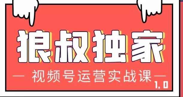 狼叔视频号运营实战课，带你深度入手微信视频号1.0，从0粉丝开始快速涨粉变现-咩咩网络