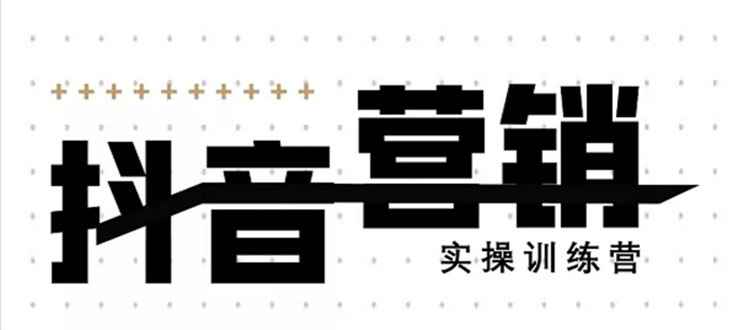 （1460期）《12天线上抖音营销实操训练营》通过框架布局实现自动化引流变现（无水印）-咩咩网络