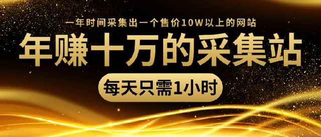 年赚十万的采集站，每天1小时，一年采集出一个售价10W的网站（无水印）-咩咩网络