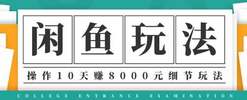 （1375期）龟课·闲鱼项目玩法实战班第12期，操作10天左右利润有8000元细节玩法-咩咩网络