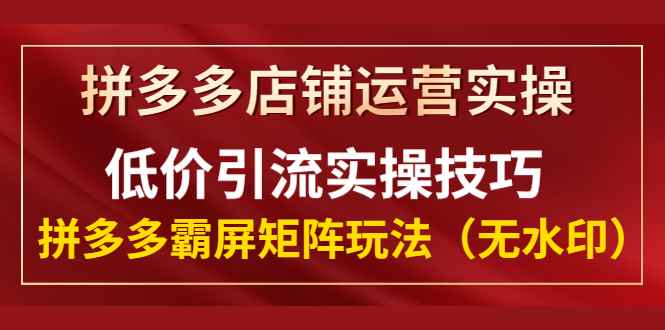 （1342期）拼多多店铺运营实操，低价引流实操技巧，拼多多霸屏矩阵玩法（无水印）-咩咩网络