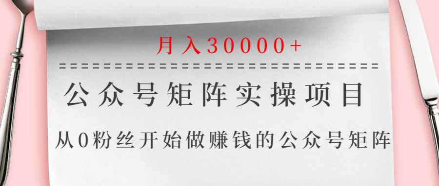 （1332期）公众号矩阵实操项目，从0粉丝开始做赚钱的公众号矩阵，月入30000+-咩咩网络