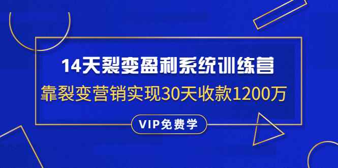 （1317期）14天裂变盈利系统训练营：靠裂变营销实现30天收款1200万（无水印）-咩咩网络