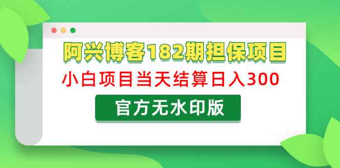图片[1]-（1219期）阿兴博客182期担保项目：小白项目当天结算日入300可副业【官方无水印版】-咩咩网络