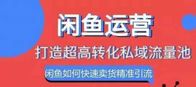 图片[1]-（1086期）闲鱼如何快速卖货精准引流打造私域流量池，快速卖货月赚过万-咩咩网络