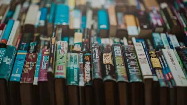 图片[2]-（1074期）小说作家带你30天写小说，靠小说赚钱，真正实用培训营！-咩咩网络