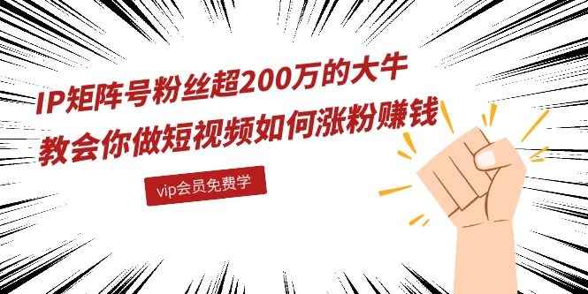 图片[2]-（1089期）IP矩阵号粉丝超200万的大牛：教会你做短视频如何涨粉赚钱（全套课程）-咩咩网络