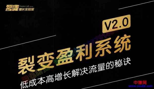 图片[1]-（955期）低成本高增长解决流量的秘诀《裂变盈利系统V2.0》视频+文档-咩咩网络
