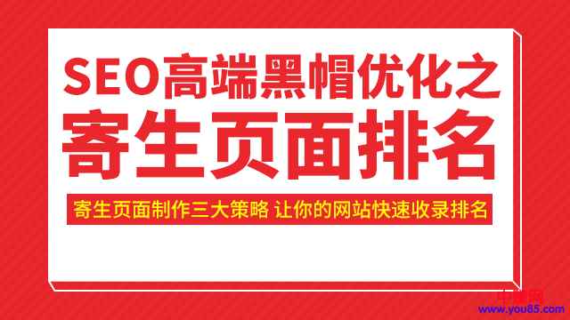 图片[1]-（951期）SEO高端黑帽优化之寄生页面排名，制作策略+快速收录排名（视频课）-咩咩网络