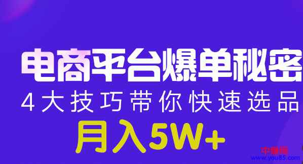图片[1]-（950期）电商平台爆单 月入5W+的秘密：4大技巧带你快速选品(8节视频课)-咩咩网络