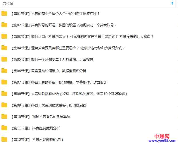 图片[1]-（913期）21天抖音实战训练营，0基础能为抖音赚钱达人（价值999元）-咩咩网络