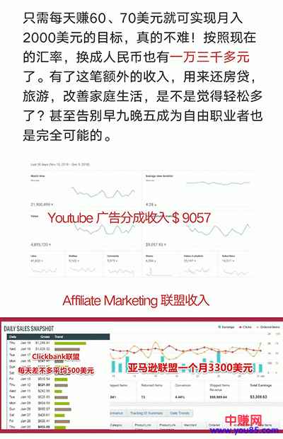 图片[2]-（914期）手把手教你操作youtube日赚70美元（14课视频+文档）无水印-咩咩网络