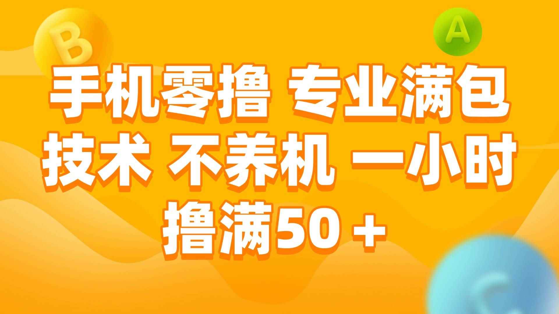 （15059期）手机零撸 专业满包技术 不养机 一小时撸满50+-咩咩网络