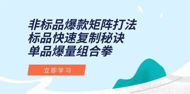 （15068期）非标品爆款矩阵打法，标品快速复制秘诀，单品爆量组合拳-咩咩网络