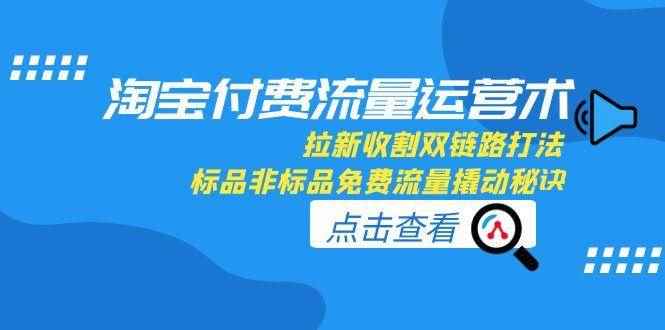 （15135期）淘宝付费流量运营术，拉新收割双链路打法，标品非标品免费流量撬动秘诀-咩咩网络