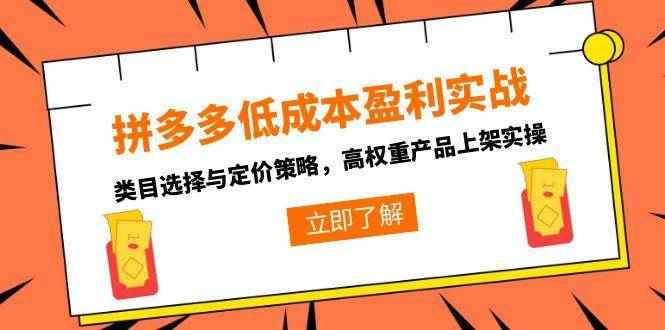 （15143期）拼多多低成本盈利实战，类目选择与定价策略，高权重产品上架实操-咩咩网络