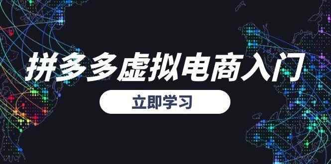 （15158期）拼多多虚拟电商入门，精准选品方法论，无货源模式起盘技巧-咩咩网络