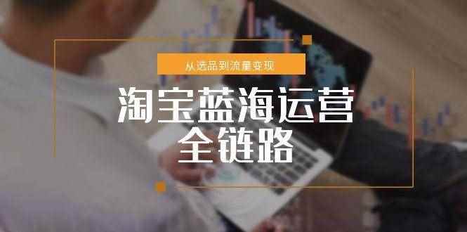 （15160期）淘宝蓝海运营全链路，从选品到流量变现，小类目突围完整方案-咩咩网络