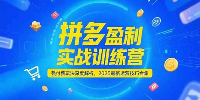 （15183期）拼多多盈利实战训练营，强付费玩法深度解析，2025运营技巧合集-更新6月-咩咩网络