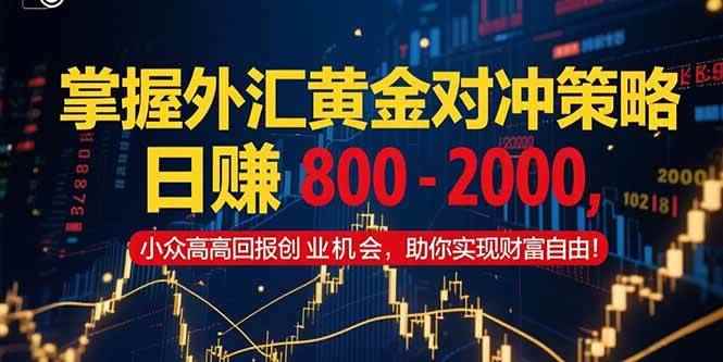 （15198期）掌握外汇黄金对冲策略，日赚 800 – 2000，小众高回报创业机会，助你实…-咩咩网络