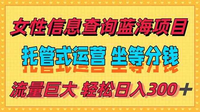 （15216期）稳定日入300＋，小众信息查询蓝海项目，全程懒人式托管，解放你的时间-咩咩网络