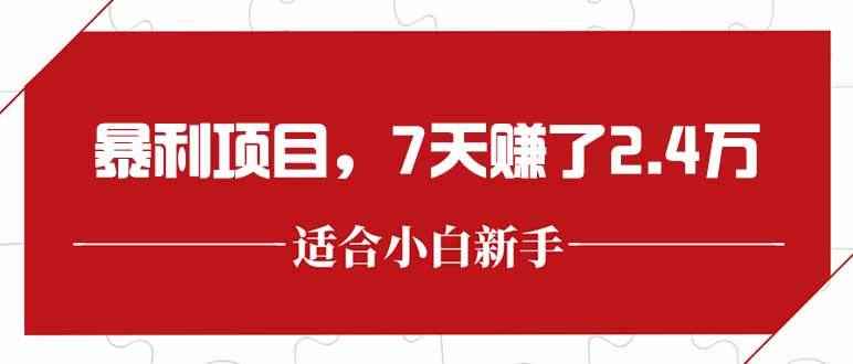 （15228期）最新暴利项目，每单收益轻松在300以上，7天赚了2.4万-咩咩网络