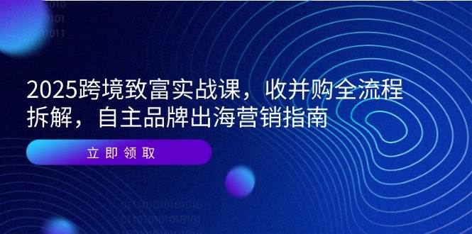 （14975期）2025跨境致富实战课，收并购全流程拆解，自主品牌出海营销指南-咩咩网络