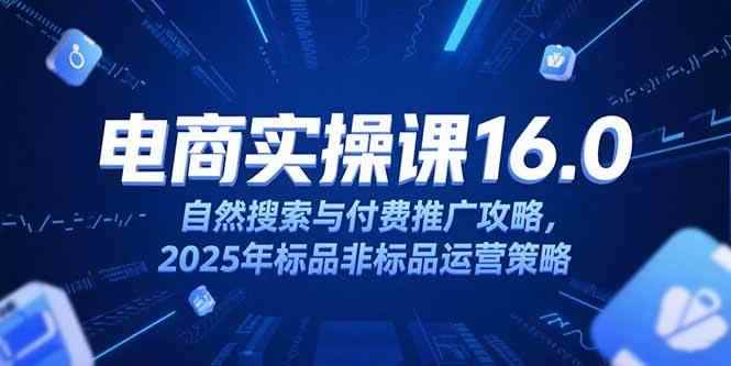 （15262期）淘宝电商运营课16.0，自然搜索与付费推广攻略，2025年标品非标品运营策略-咩咩网络