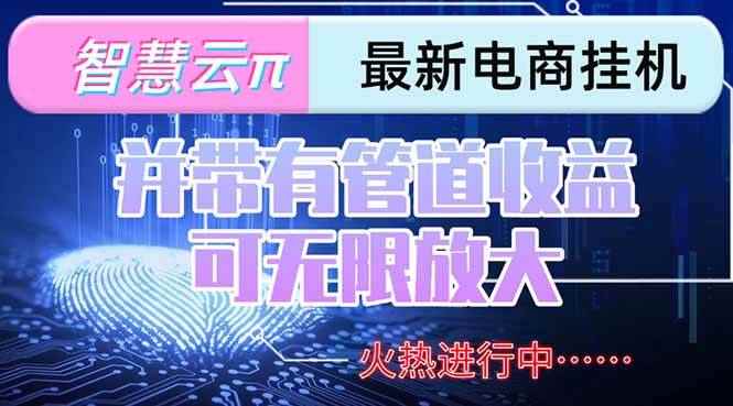 （15314期）智慧云π电脑挂机单机每天收益300—500+ 并带有团队管道收益 可无限放大-咩咩网络
