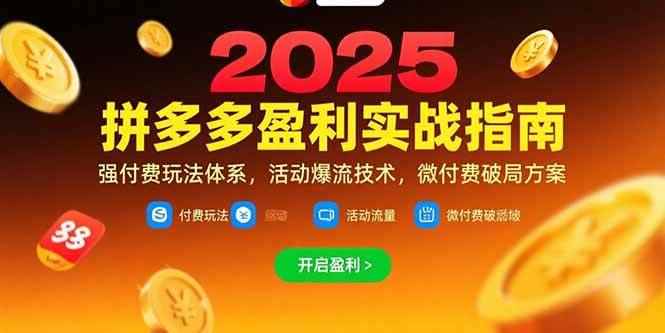 （15357期）拼多多盈利实战指南，强付费玩法，活动爆流技术，微付费破局方案(更新7月)-咩咩网络