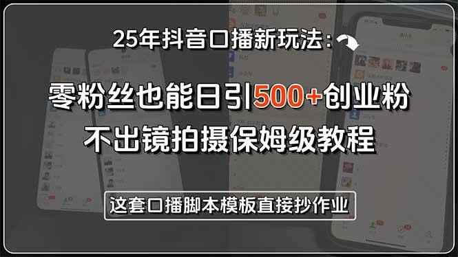 （15384期）25年抖音口播新玩法：零粉丝也能日引500+创业粉，不出镜拍摄保姆级教程…-咩咩网络