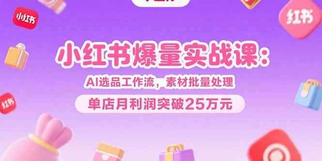 （15462期）小红书爆量实战课：AI选品工作流，素材批量处理，单店月利润突破25万元-咩咩网络
