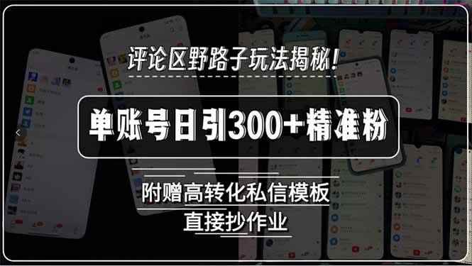 （15466期）评论区野路子玩法揭秘！单账号日引300+精准粉，附赠高转化私信模板，直…-咩咩网络