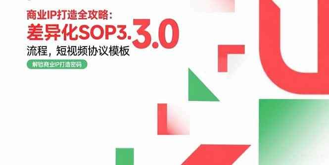 （15486期）商业IP打造全攻略：差异化SOP3.0流程，短视频协议模板，婚恋项目实战案例-咩咩网络