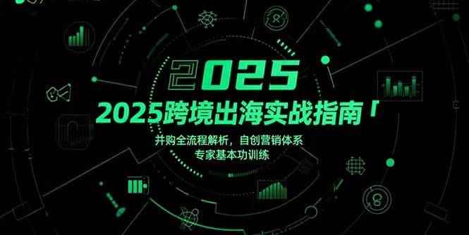 （15503期）2025跨境出海实战指南，并购全流程解析，自创营销体系，专家基本功训练-咩咩网络