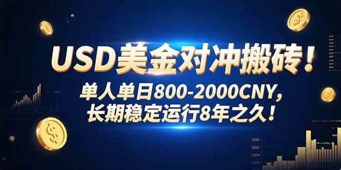 （15551期）USD美金对冲搬砖!单人单日800-2000CNY，长期稳定运行8年之久!-咩咩网络