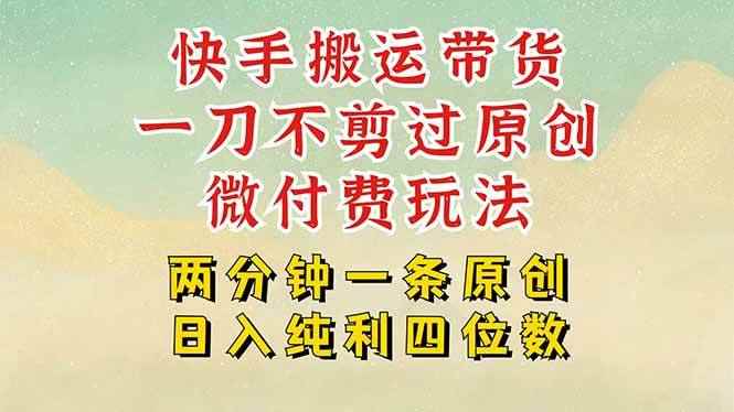 （15577期）快手黑科技搬运带货，一刀不剪过原创，微付费投流玩法，轻松日入四位数…-咩咩网络