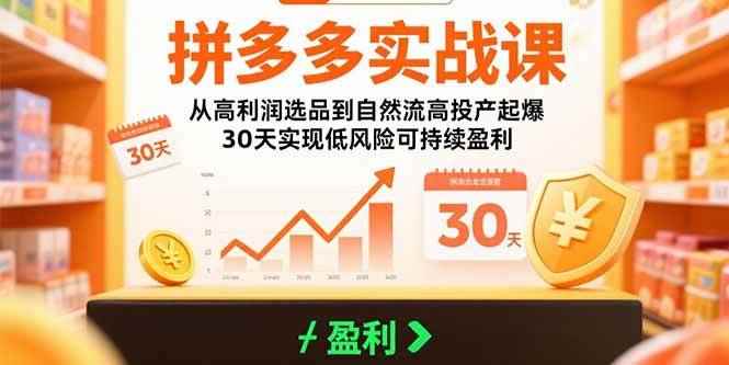 （15586期）拼多多实战课：从高利润选品到自然流高投产起爆 30天实现低风险可持续盈利-咩咩网络