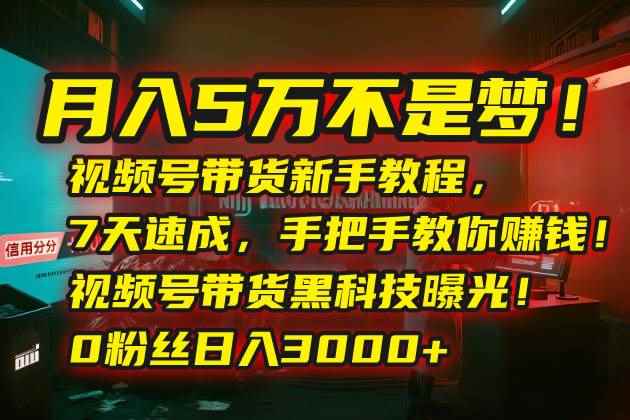 （15595期）月入5万不是梦！视频号带货新手教程，7天速成，手把手教你赚钱！视频号…-咩咩网络